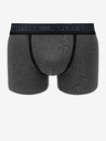 Replay Boxershorts 2 Stück