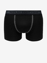 Replay Boxershorts 2 Stück