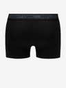 Replay Boxershorts 2 Stück