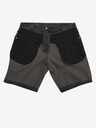 ALPINE PRO Bluebell 3 Shorts