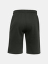 Under Armour Project Rock CC Fleece Shorts