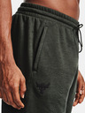 Under Armour Project Rock CC Fleece Shorts