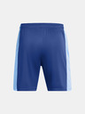 Under Armour UA M's Ch. Knit Shorts