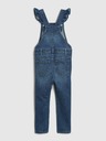 GAP Washwell Overall Kinder