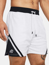 Under Armour Curry Mesh Short 4 Shorts