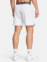 Under Armour UA Vanish Woven 6in Shorts