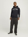 Jack & Jones Caleb Sweatshirt