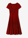 Desigual Raleigh Kleid