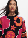 Desigual Niagara Pullover