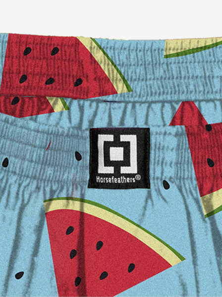 Horsefeathers Boxershorts