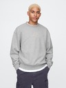 GAP Sweatshirt