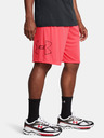 Under Armour UA Tech Graphic Shorts