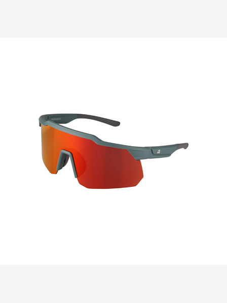 ALPINE PRO Bedhe Sunglasses