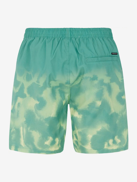 Protest Protest PRTAGOR Herrenshorts für den Strand