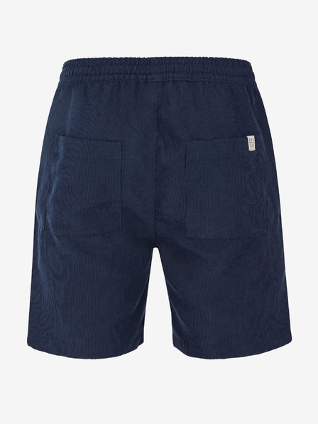 Protest Herrenshorts Protest PRTULEY